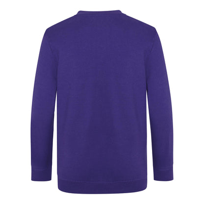 V-Neck Sweatshirt | Purple