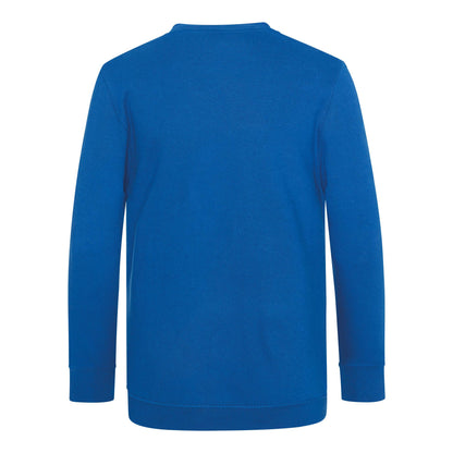 V-Neck Sweatshirt | Royal Blue